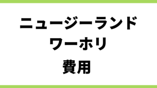ニュージーランドワーホリ 費用