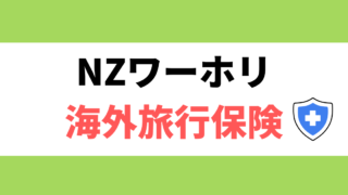 ニュージーランドワーホリ海外旅行保険